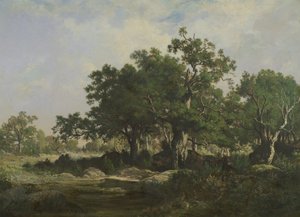 Raivous Fontainebleaun metsässä